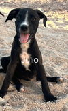 Julio