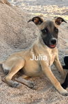 Julia