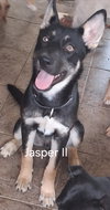 Jasper