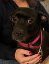 Maggie Mae
