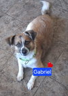 Gabriel