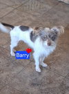 Barry