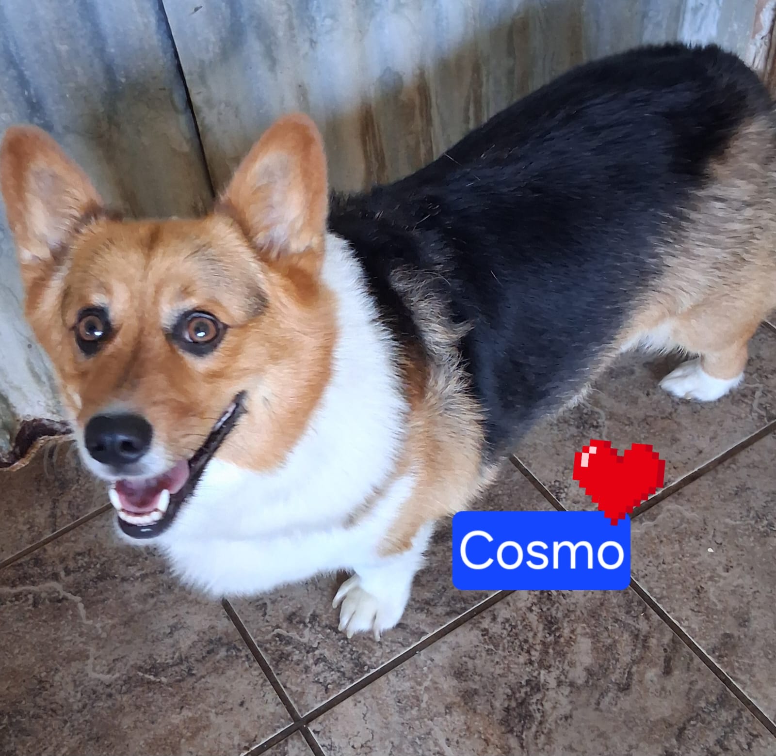 Cosmo