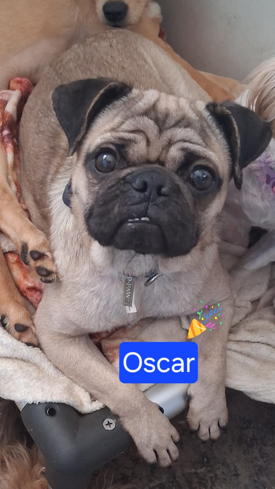 Oscar