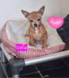 Edna Mae