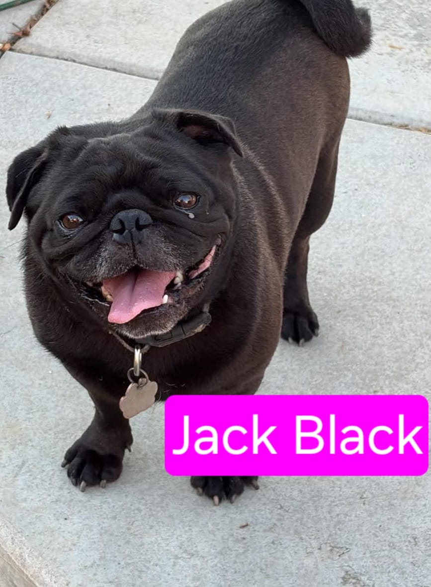 Jack