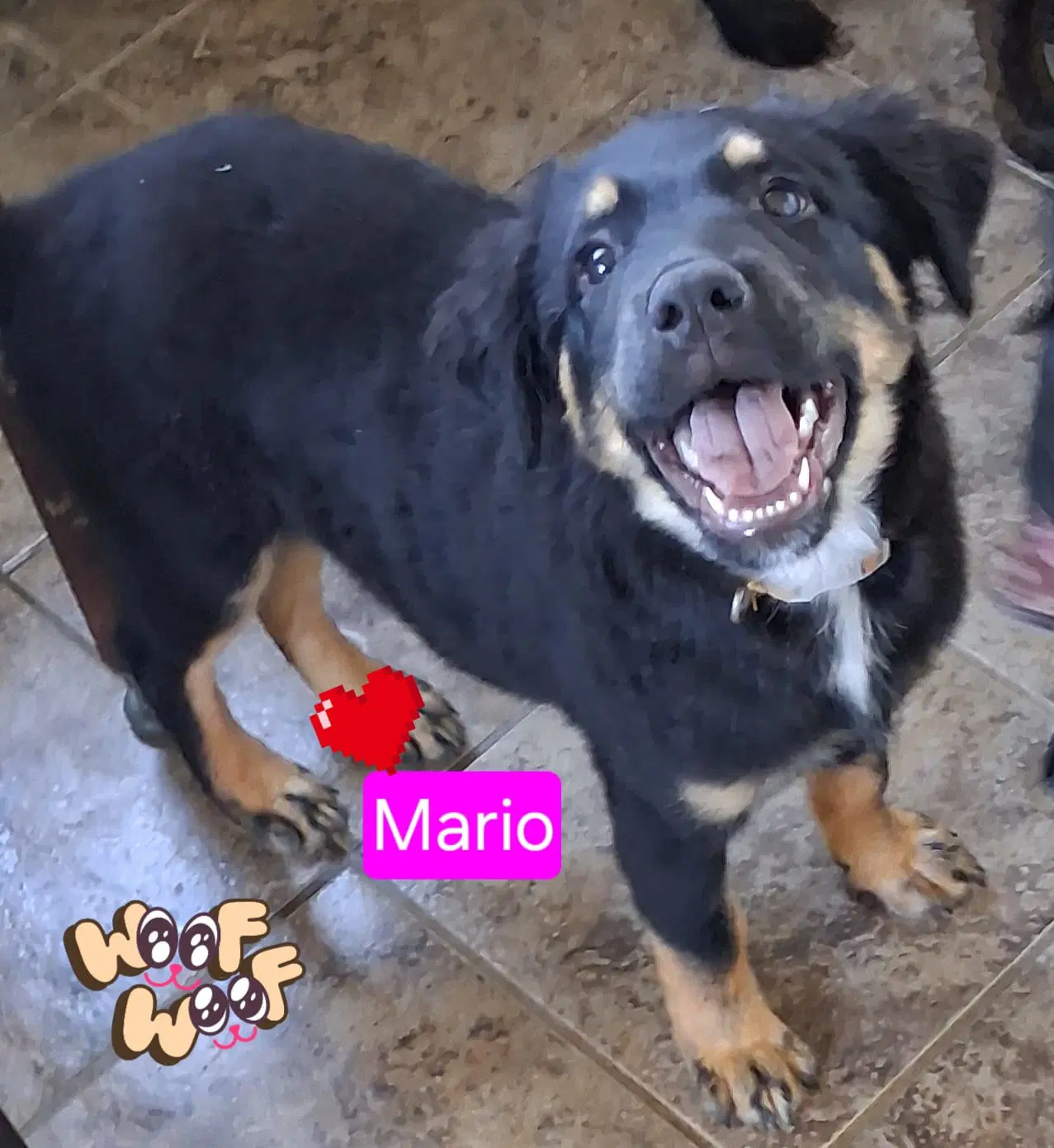 Mario image 2