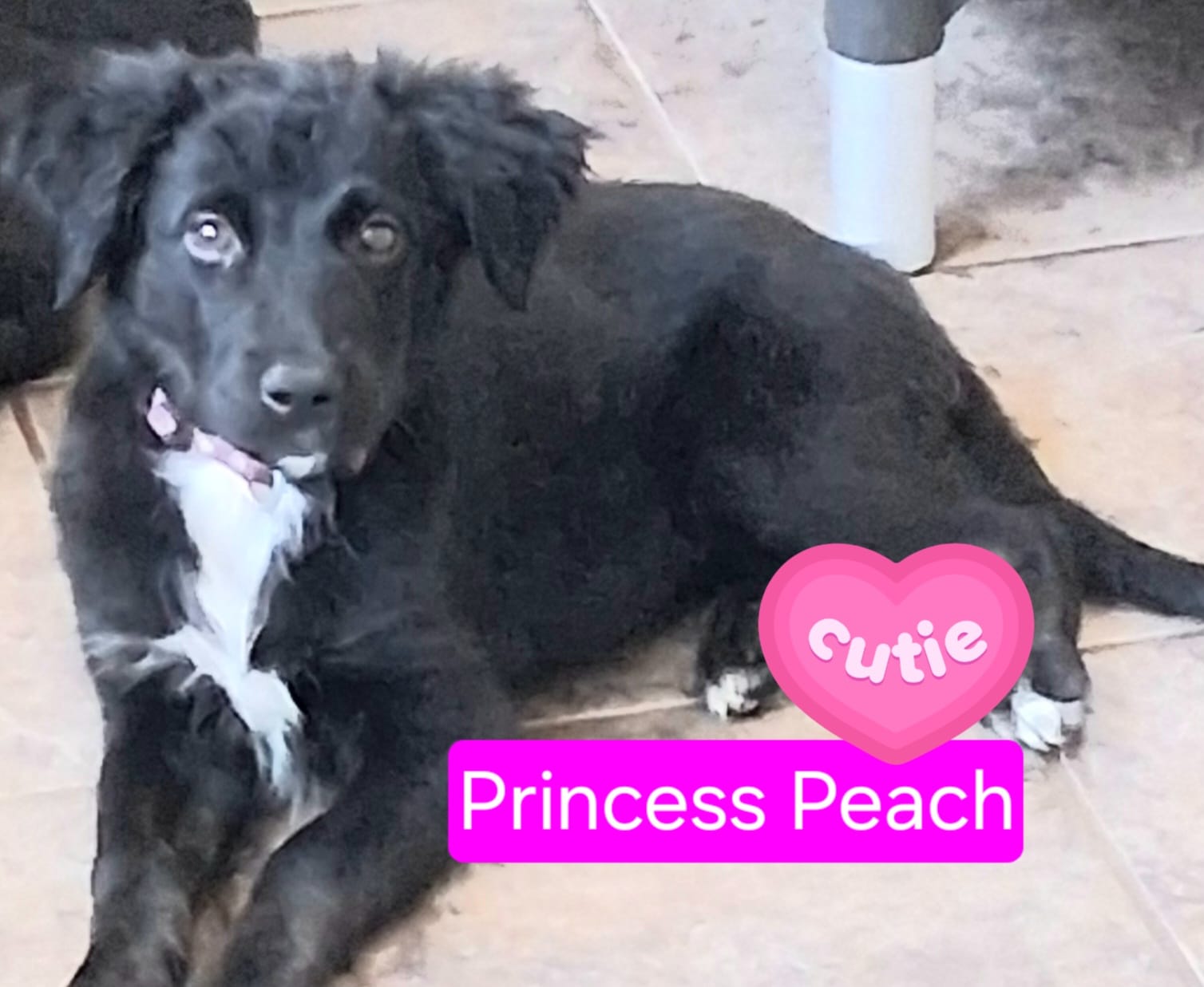 Princess Peach