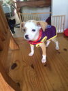 Corky