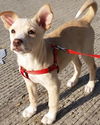 Amy