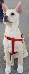 Amy