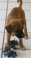 Spike