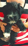 Missy