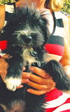 Missy