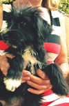 Missy