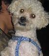 Arturo