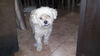 Arturo
