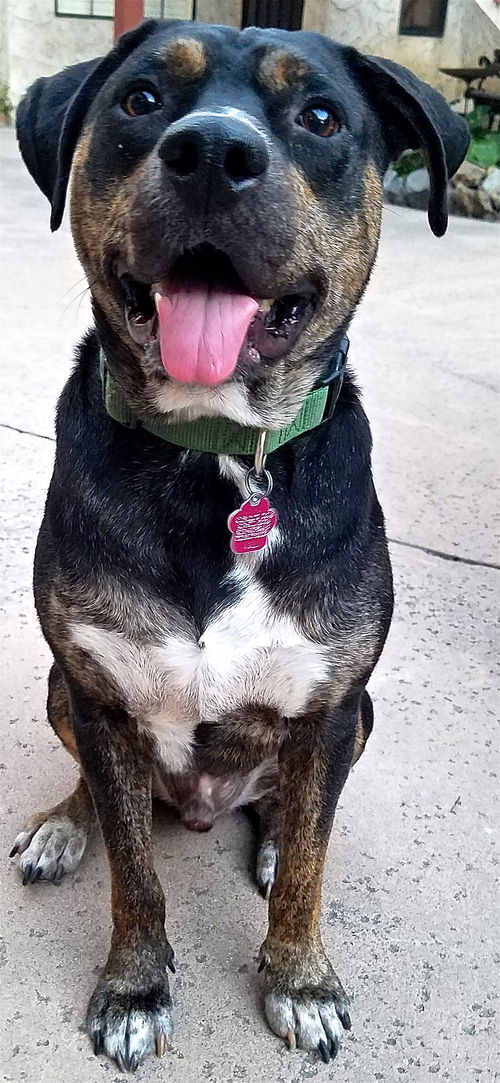 Averie