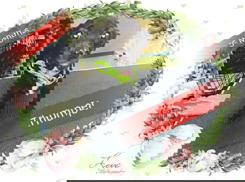 Thumper