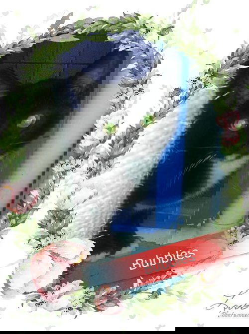 Bubbles