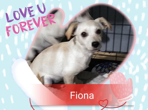 Fiona