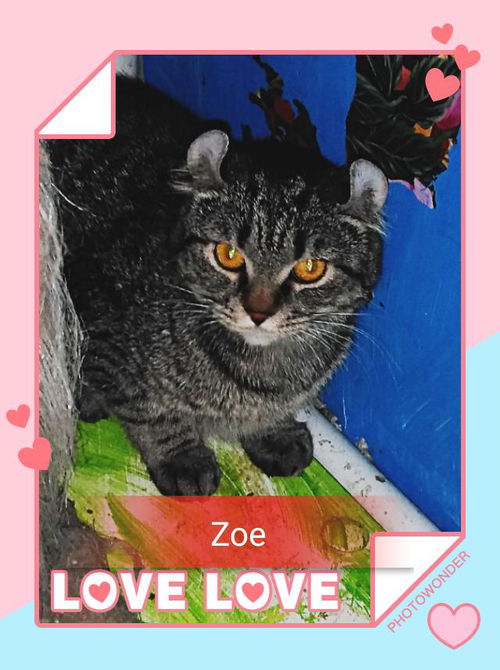 Zoe