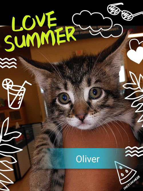 Oliver