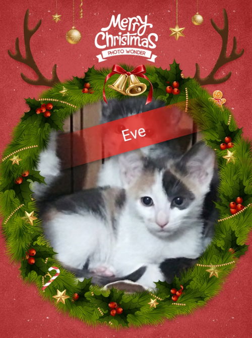 Eve