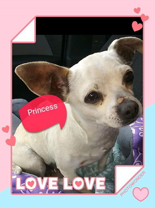 Princess