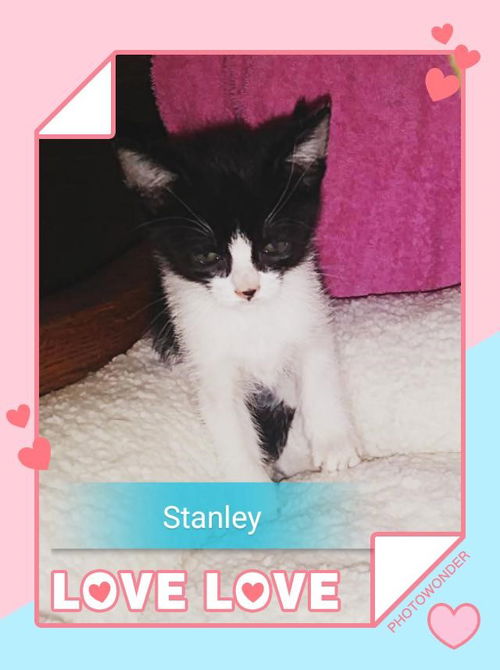 Stanley
