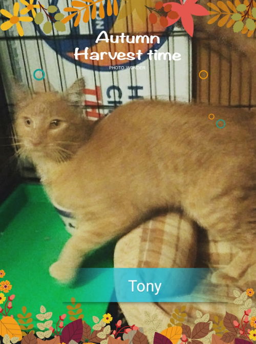 Tony & Tigger
