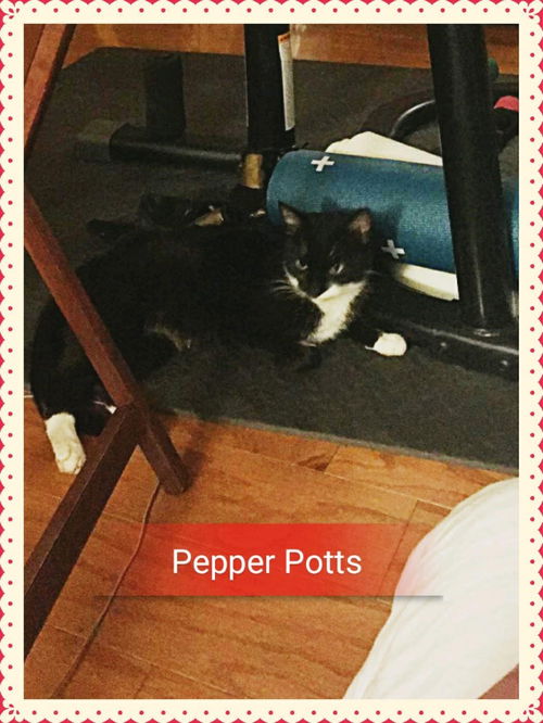 Pepper Pots