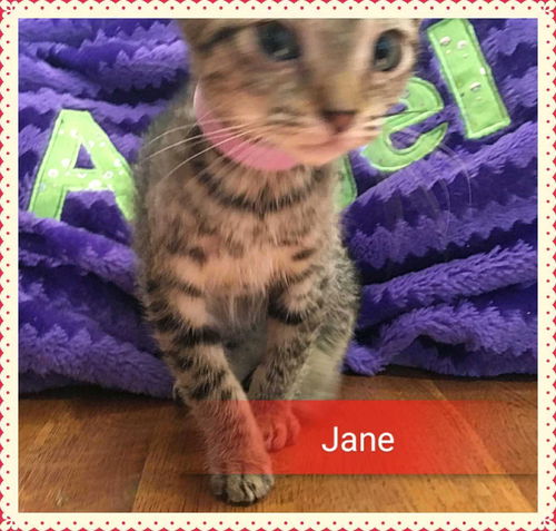 Jane