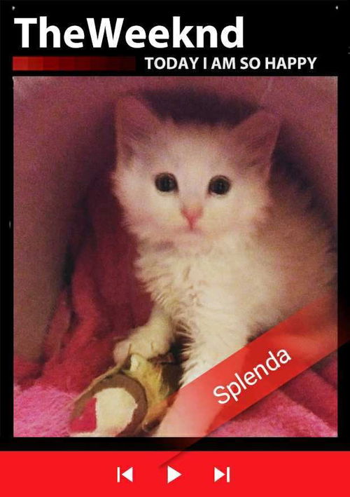 Splenda