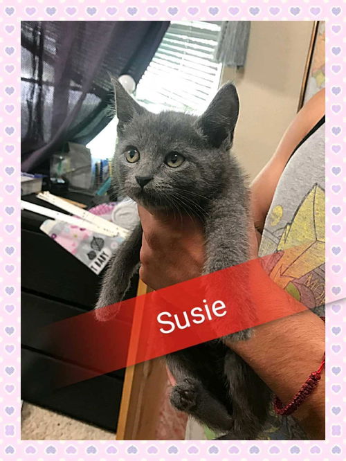 Susie