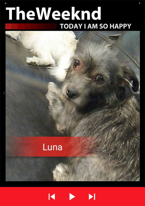 Luna