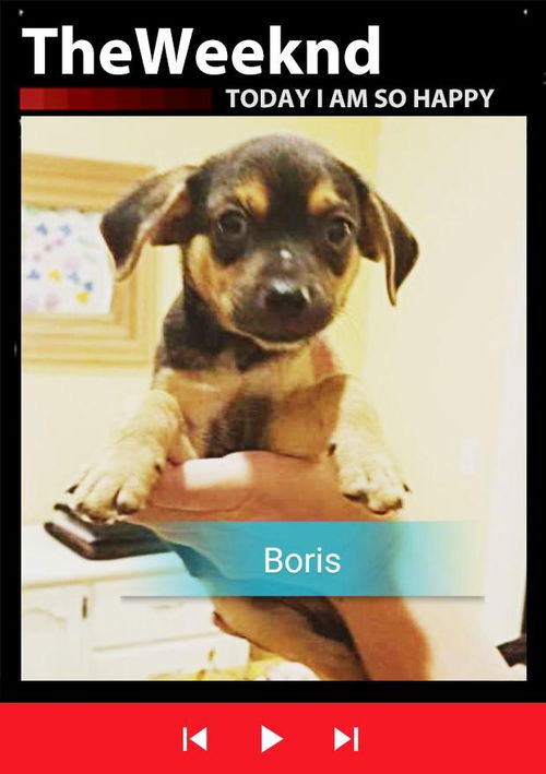 Boris