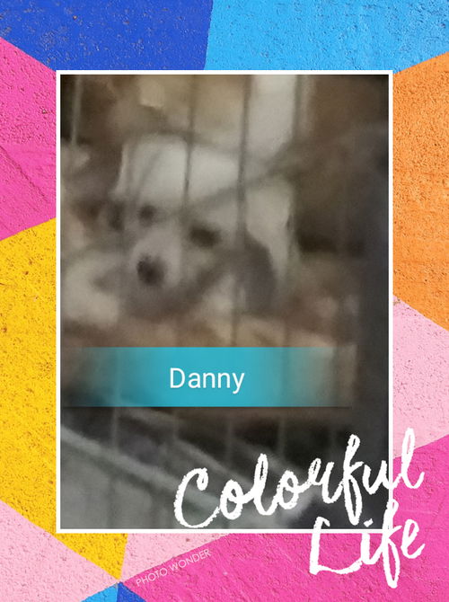 Danny