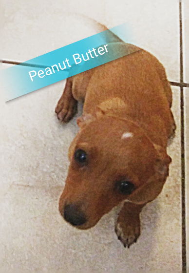 Peanut Butter