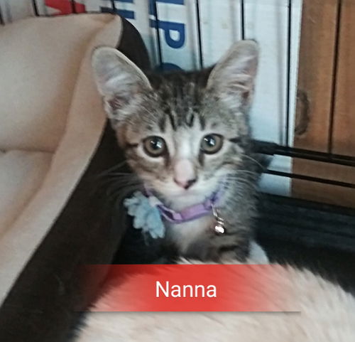 Nanna