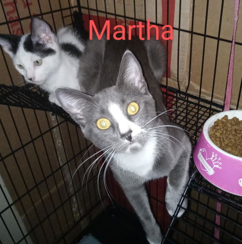 Martha