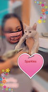 Sparkles