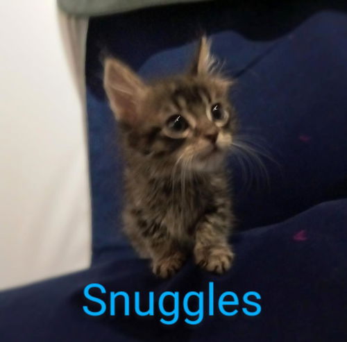 Snuggles