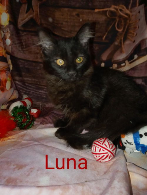 Luna