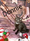 Donnie