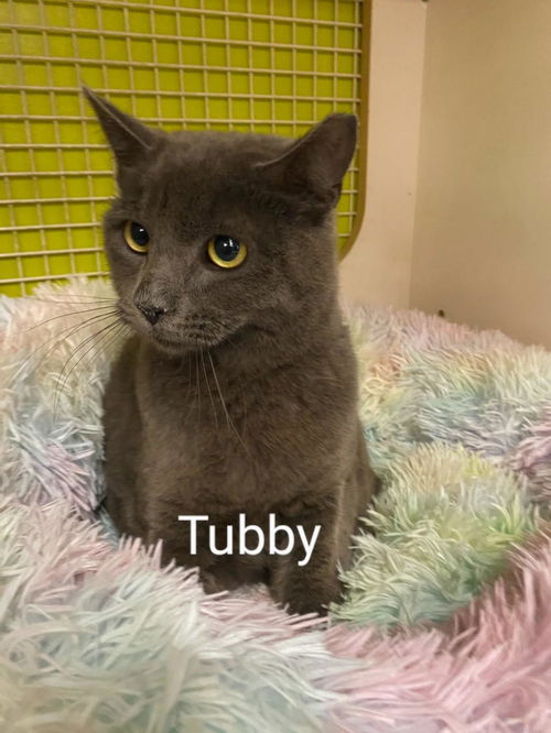 Tubby