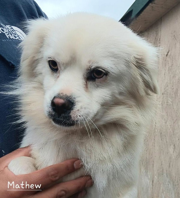 Mathew