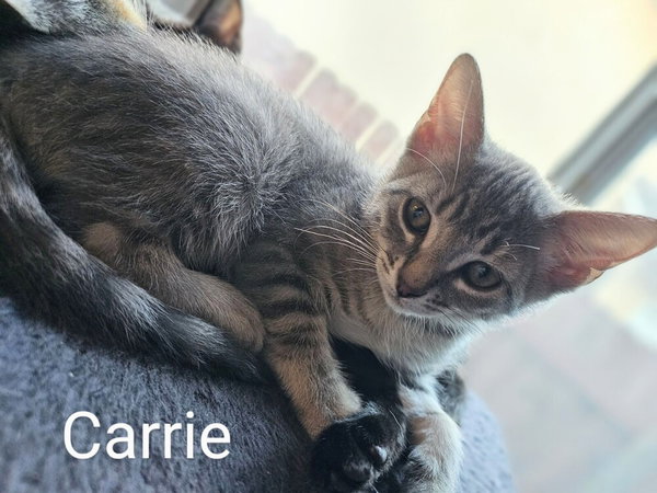 Carrie