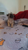 Cubby