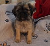 Bobby